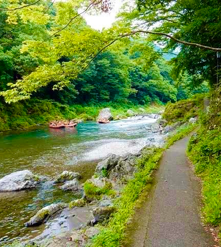 チェックアウト 渓谷ハイキング